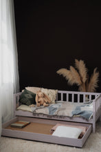 Load image into Gallery viewer, Robin