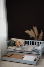 Lade das Bild in den Galerie-Viewer, Robin